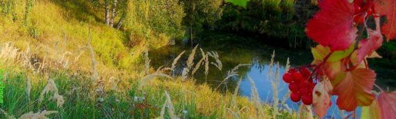 текст песни При долине куст калины в речке тихая вода