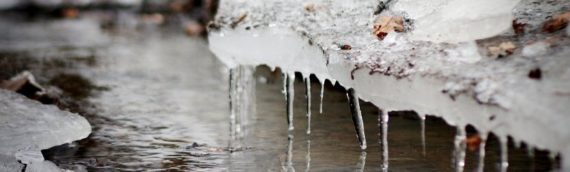 текст песни Тает снег течёт вода